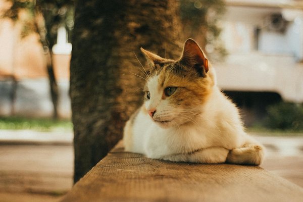 Consejos de nutrición para una vida saludable en 2024 y más allá