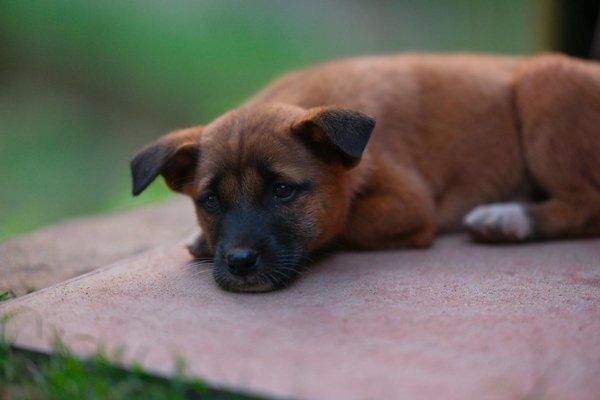 Estrategias poderosas de redes sociales para impulsar organizaciones sin fines de lucro: la guía completa que necesitas